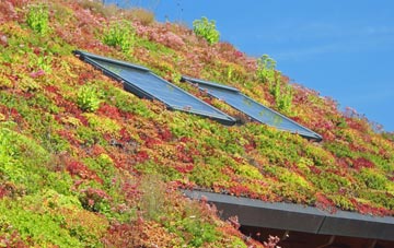 Rostherne living roof systems