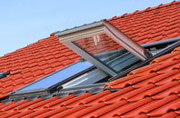 Rostherne roof window